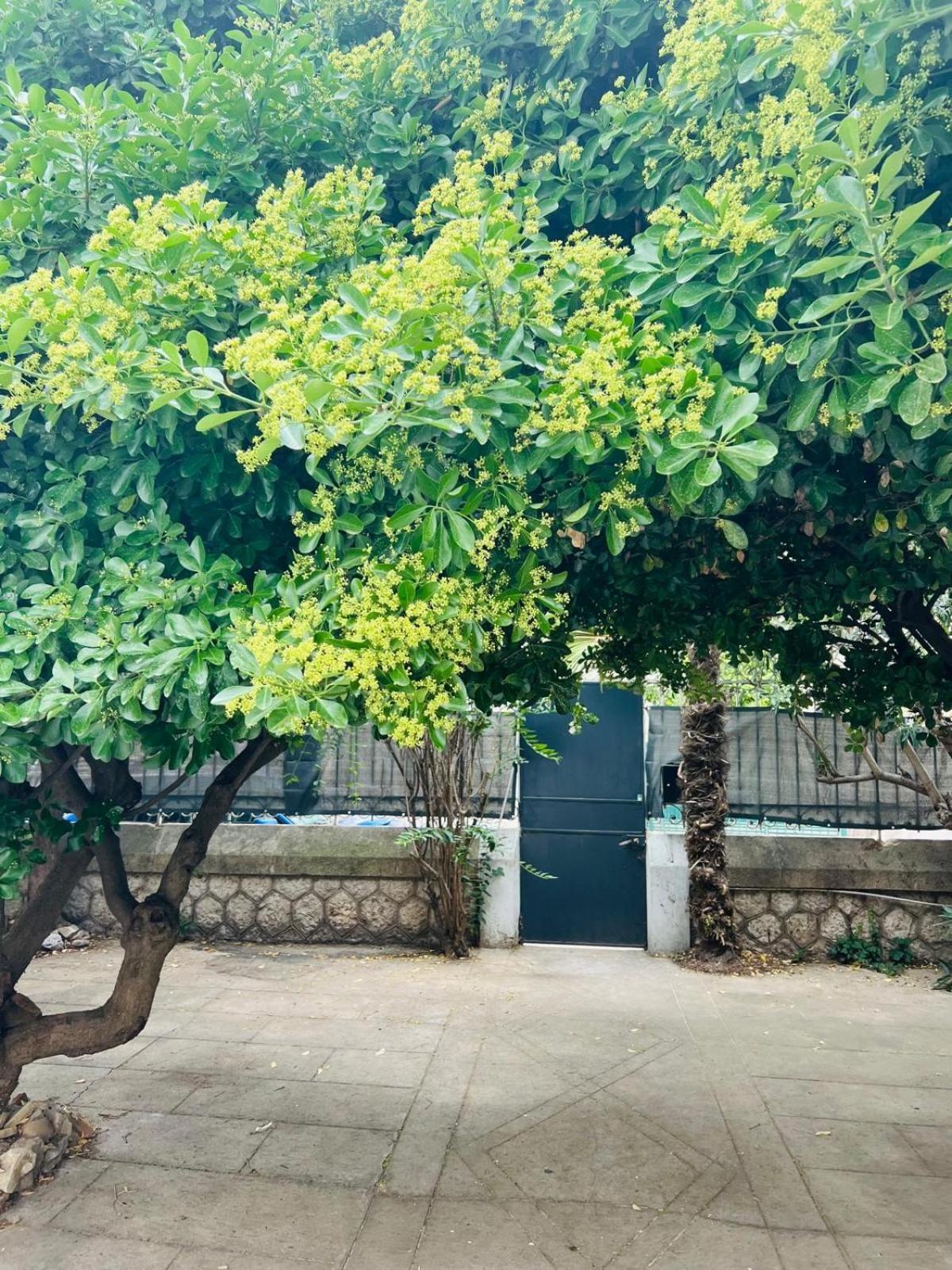 Maison 23 Coursan Ngoại thất bức ảnh
